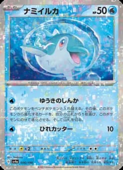ナミイルカ