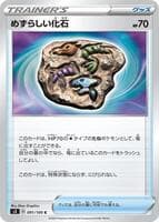 Rare Fossil