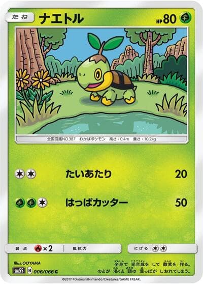 Turtwig - 006/066