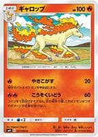 Rapidash