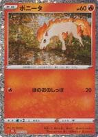 Ponyta