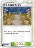 Brock's Pewter City Gym