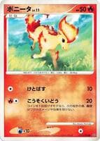 Ponyta