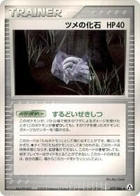 Claw Fossil