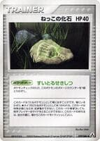Root Fossil