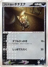 Team Aqua's Poochyena - 020/033