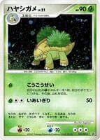 Grotle - 052/DP-P