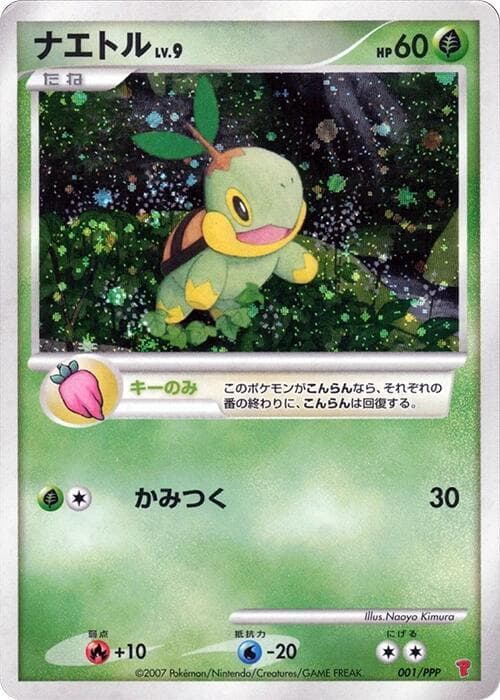 Turtwig