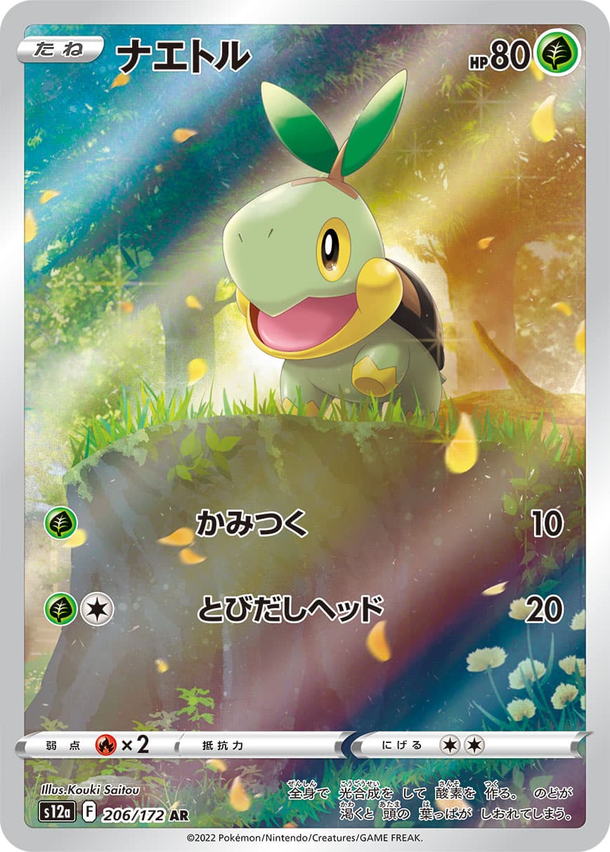 Turtwig - 206/172