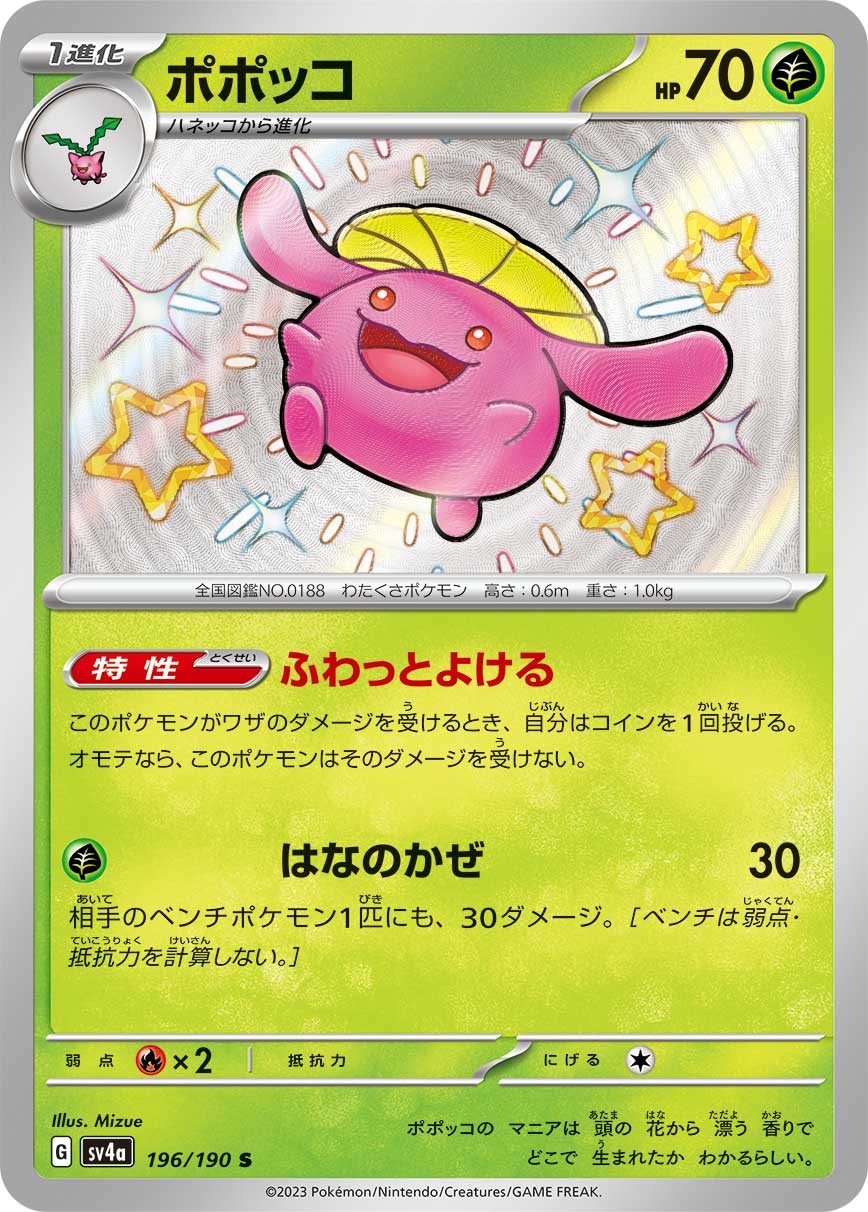 Skiploom - 196/190