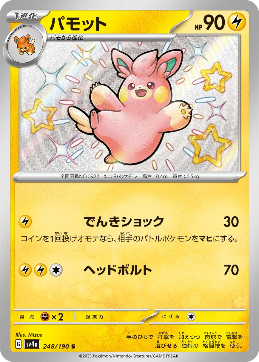 Pawmo - 248/190
