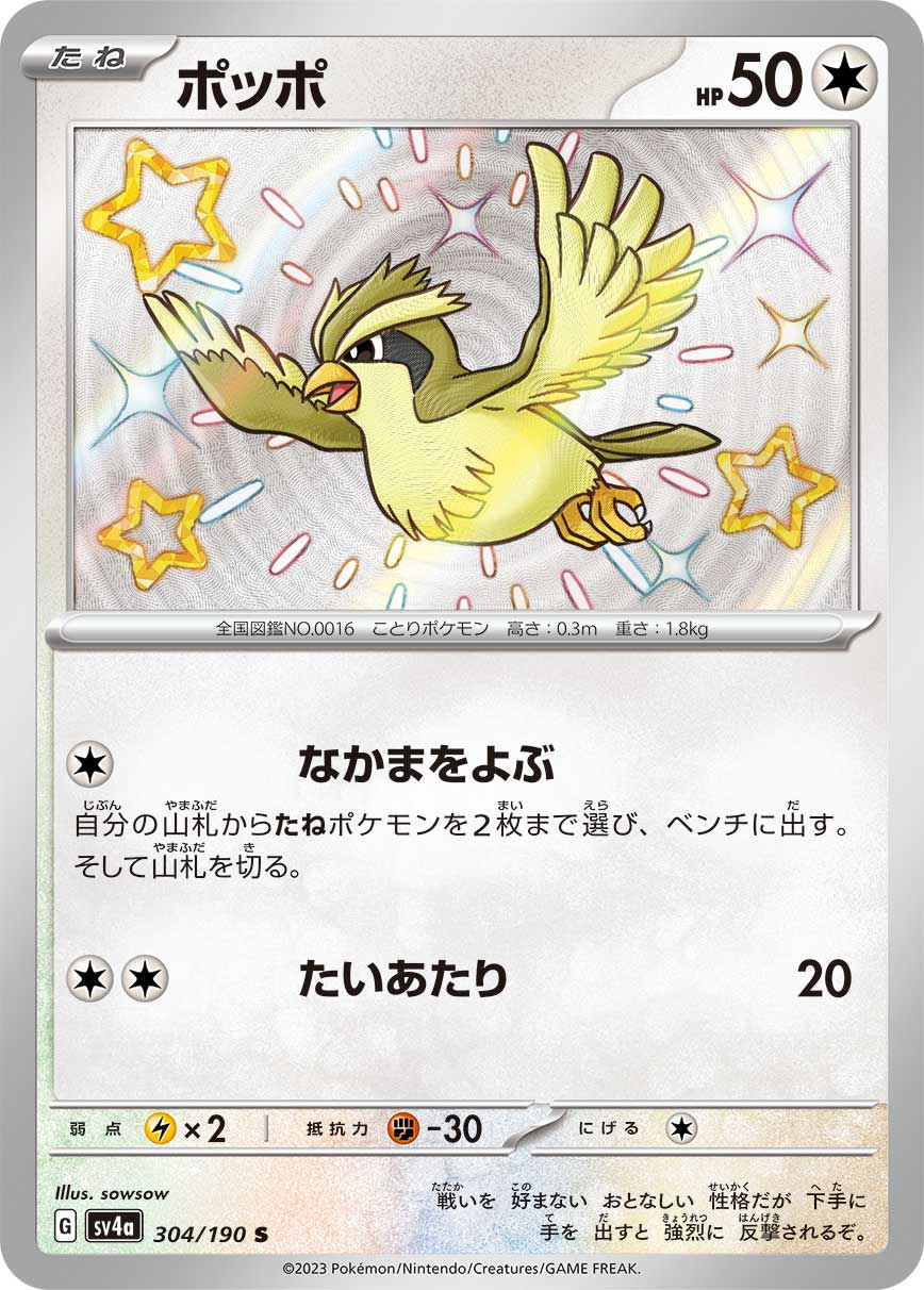 Pidgey - 304/190