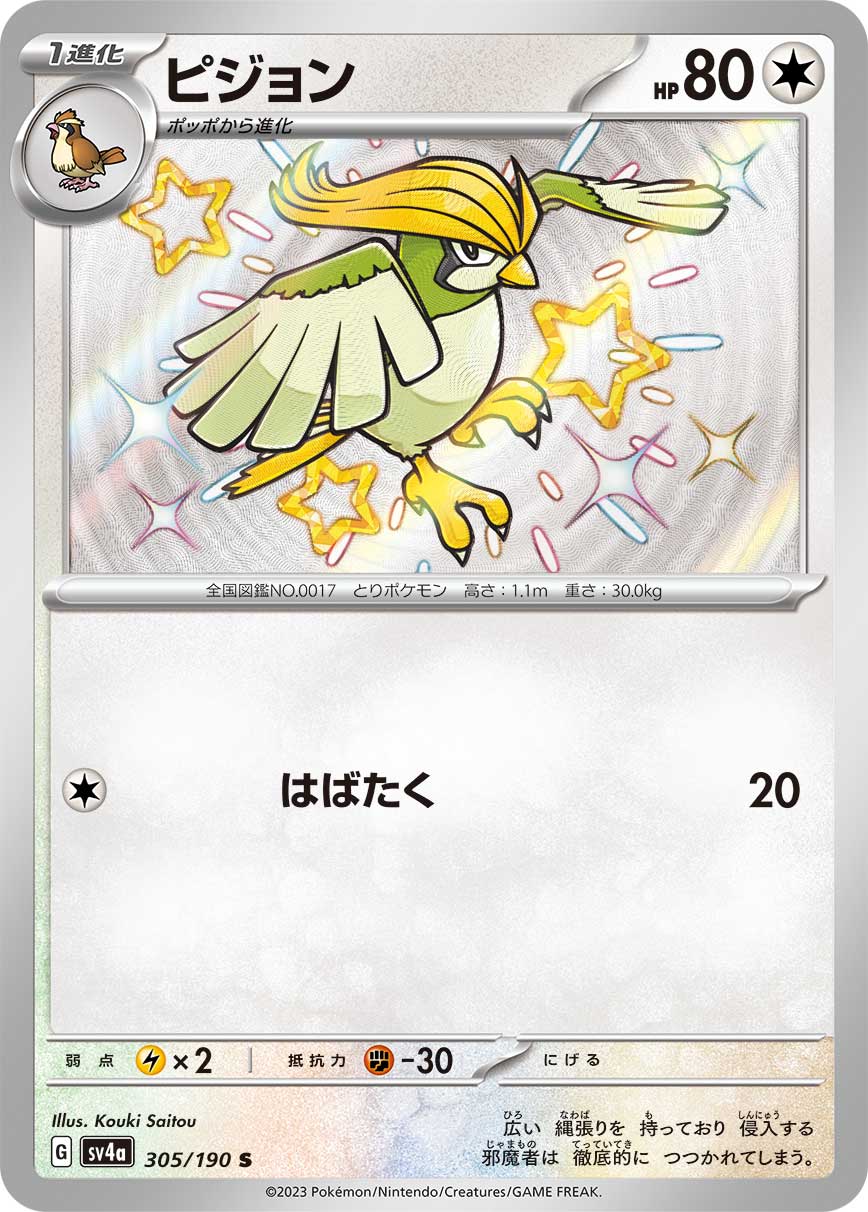 Pidgeotto - 305/190