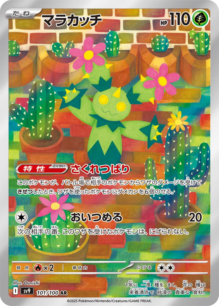 Maractus - 101/100