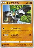 Passimian