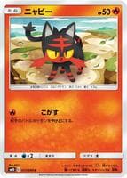 Litten - 013/095