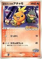 PokePark's Torchic - 047/PCG-P
