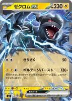 Zekrom ex